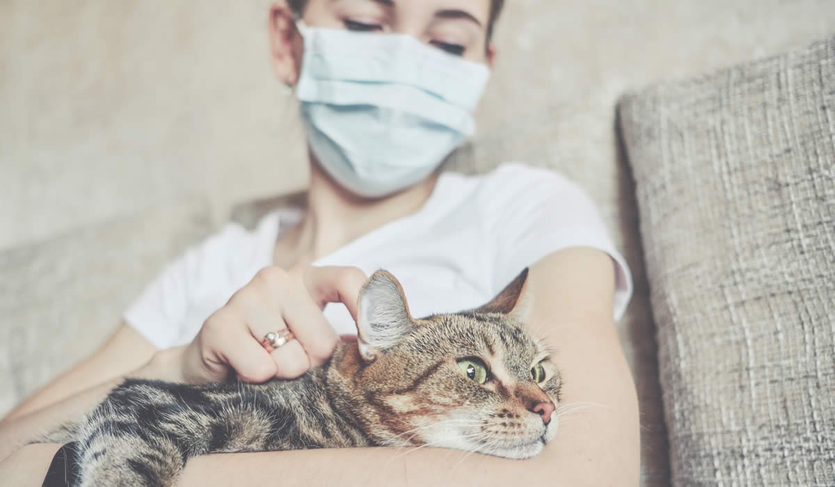Coronavirus nel gatto, non solo Covid-19