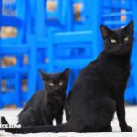 mamma e figlio in posa