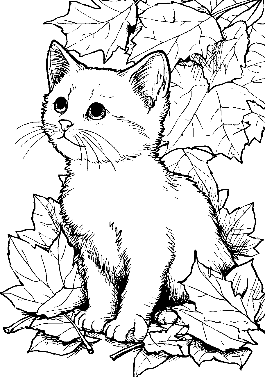 Disegni di Gatti e Gattini da sampare e colorare 32 disegno da colorare di gatto in autunno