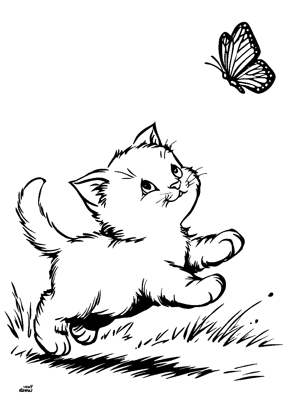 Disegni di Gatti e Gattini da sampare e colorare 22 disegno da colorare di gattino che gioca a casciare una farfalla